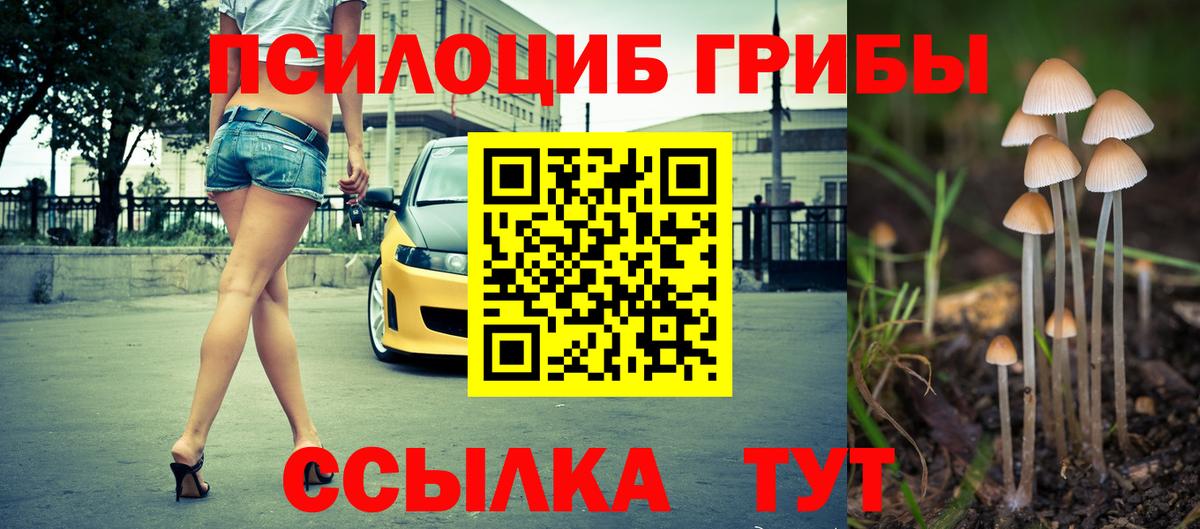 Галлюциногенные грибы Magic Shrooms  Вход с VPN  где купить наркоту  Кстово 